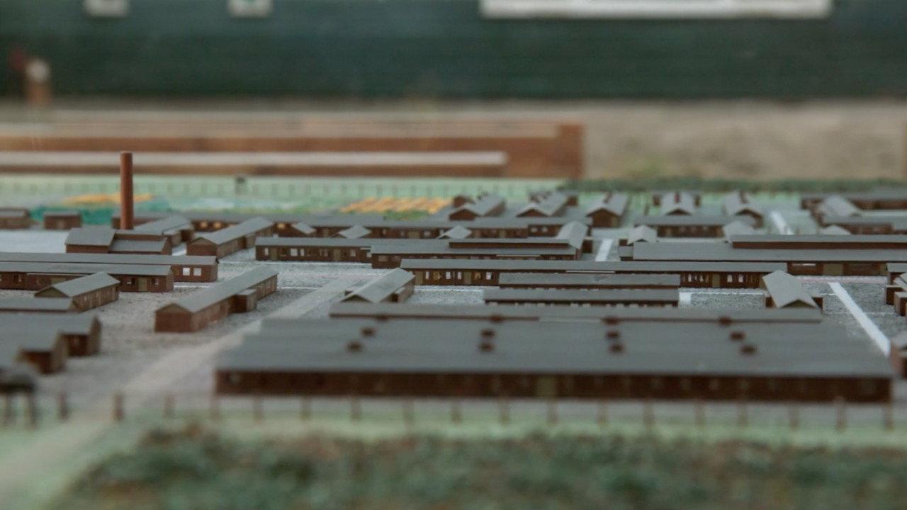 Oorlog in Westerbork backdrop