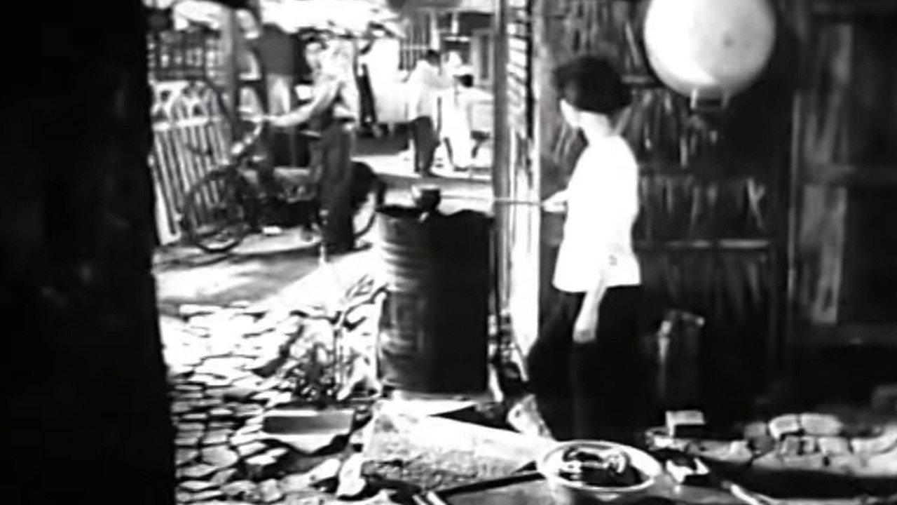 Nguyen Van Troi backdrop
