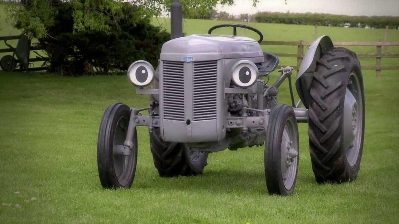 Little Grey Fergie: Country Fun! backdrop
