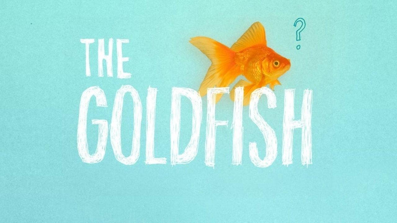 The Goldfish backdrop
