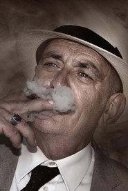 Cesare Tarabella profile photo