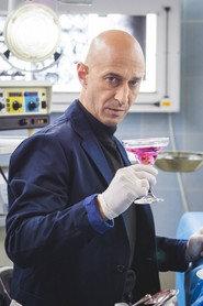 Daniel Rashev profile photo