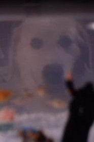 Thor profile photo