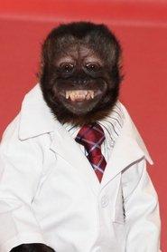 Crystal the Monkey profile photo