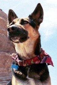 Sadie profile photo