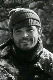 Alberto Mastino profile photo