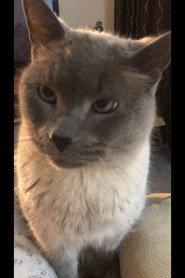 Stewart Warzecha profile photo
