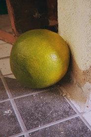 Laranja profile photo