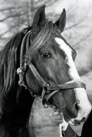Champion Jr. profile photo