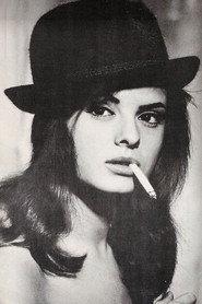 Soledad Miranda profile photo