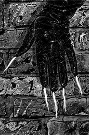Man with Claws profile photo