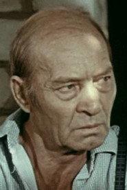 Ivan Zharov profile photo