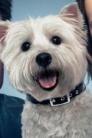 Olivia profile photo