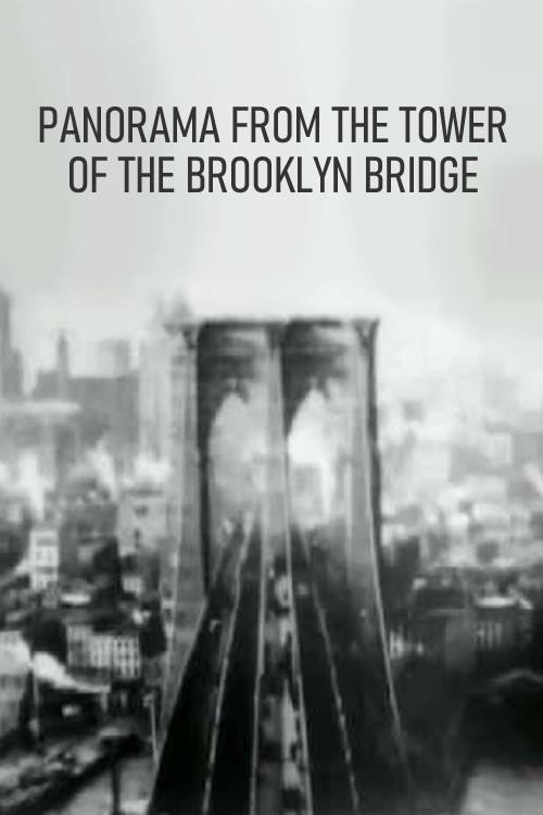 Panorama from the Tower of the Brooklyn Bridge backdrop