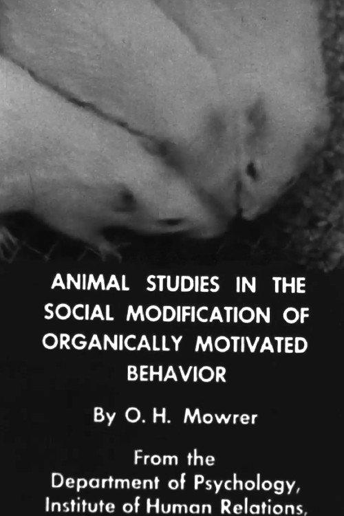 Animal Studies in the Social Modification of Organically Motivated Behavior backdrop