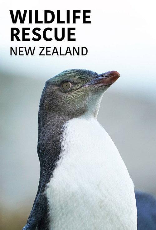 Wildlife Rescue New Zealand backdrop