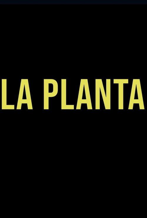 La Planta backdrop