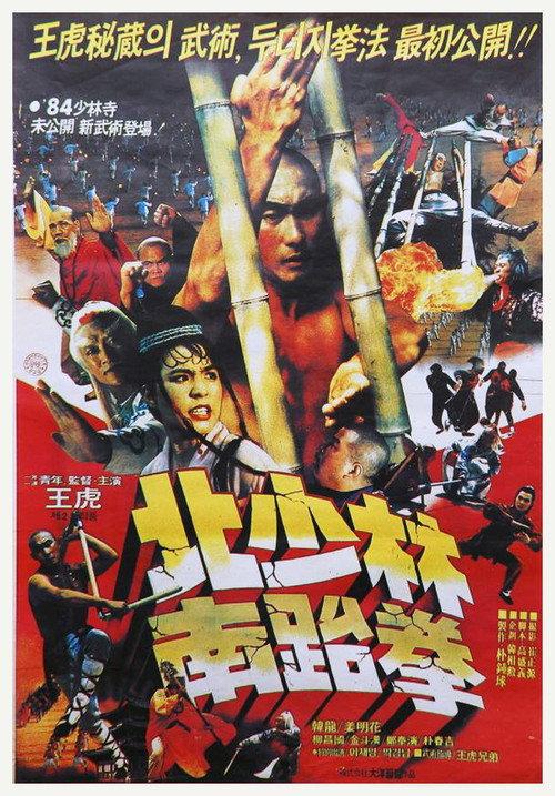 North Shaolin South Taekwon backdrop