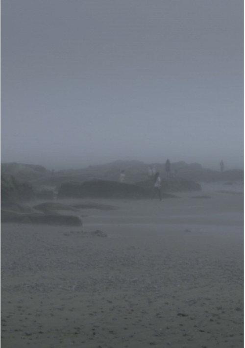 The Fog Has Covered The Moment Again backdrop