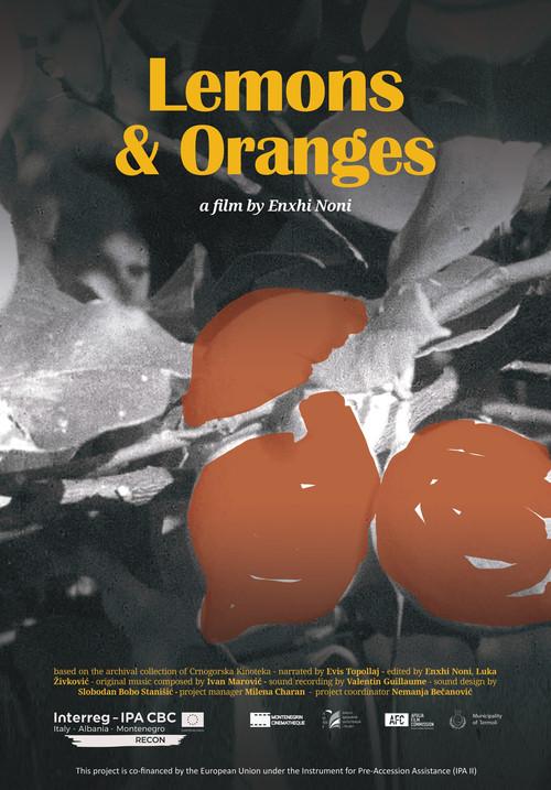 Lemons & Oranges backdrop