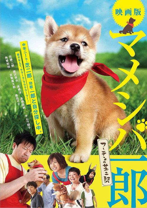 Mameshiba Ichirô fûten no shibajirô backdrop