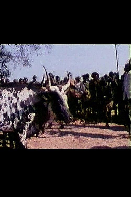 Feast of the Sacred Ox backdrop
