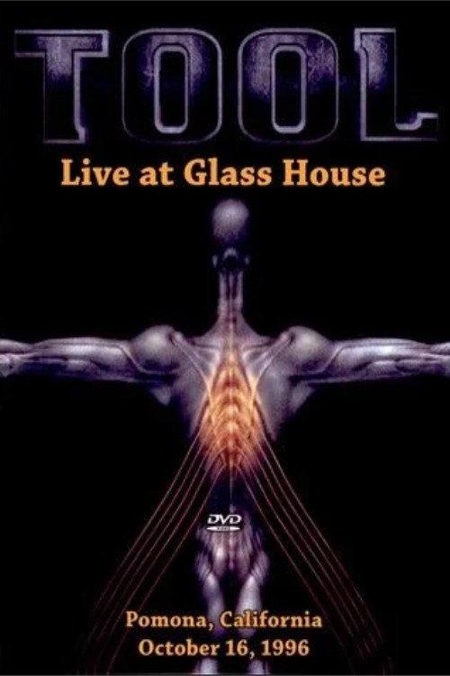 TOOL: Live at The Glass House 1996 backdrop