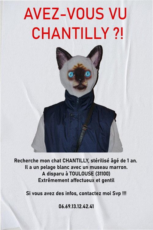 AVEZ-VOUS VU CHANTILLY ?! backdrop