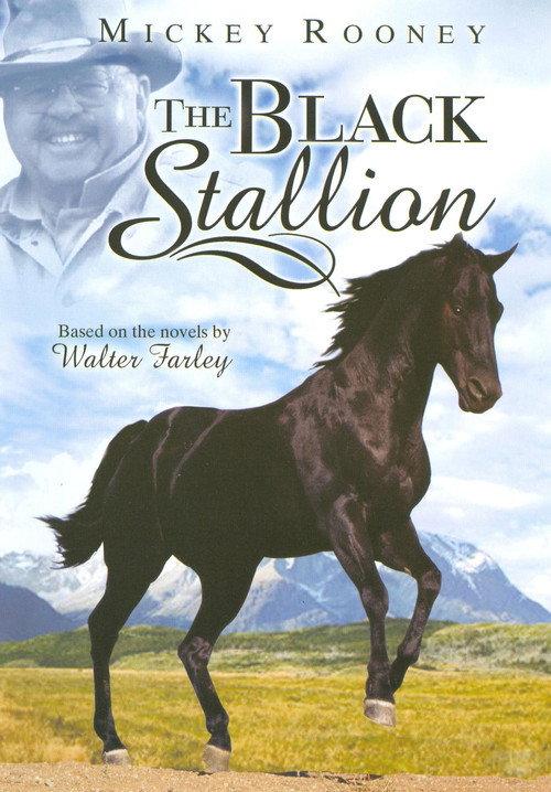 Adventures of the Black Stallion backdrop
