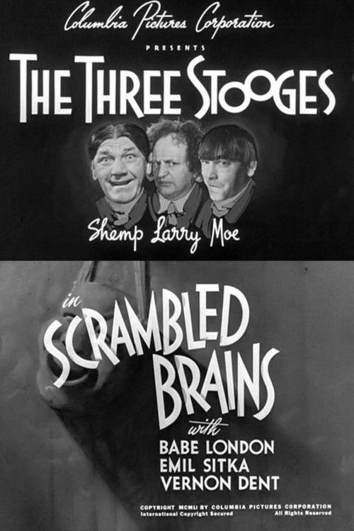 Scrambled Brains backdrop