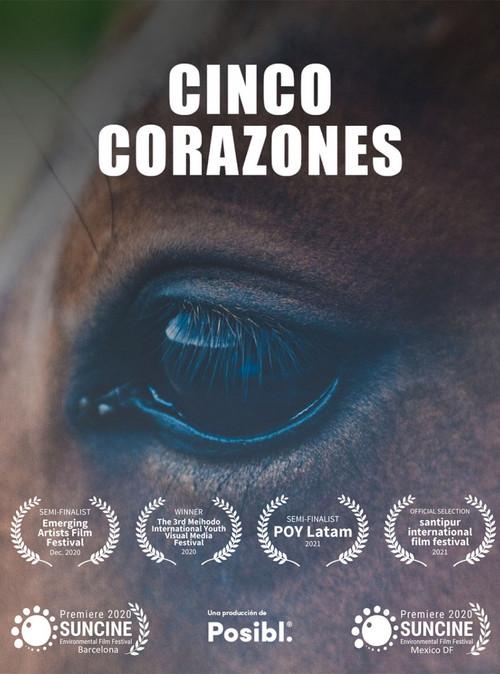 Cinco Corazones backdrop