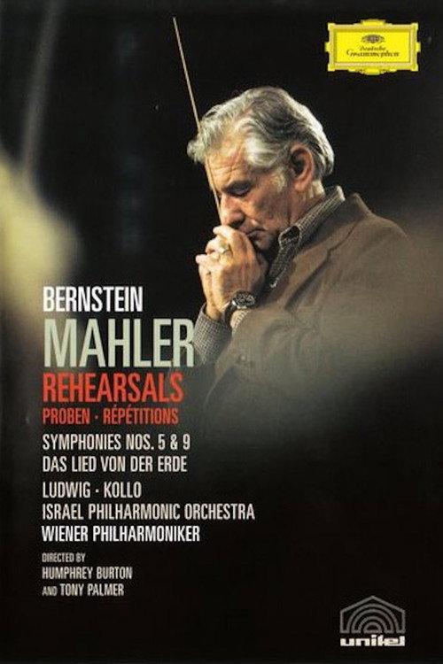 Bernstein Mahler Rehearsal backdrop