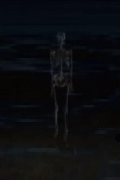 Ancient Skeleton Joke backdrop