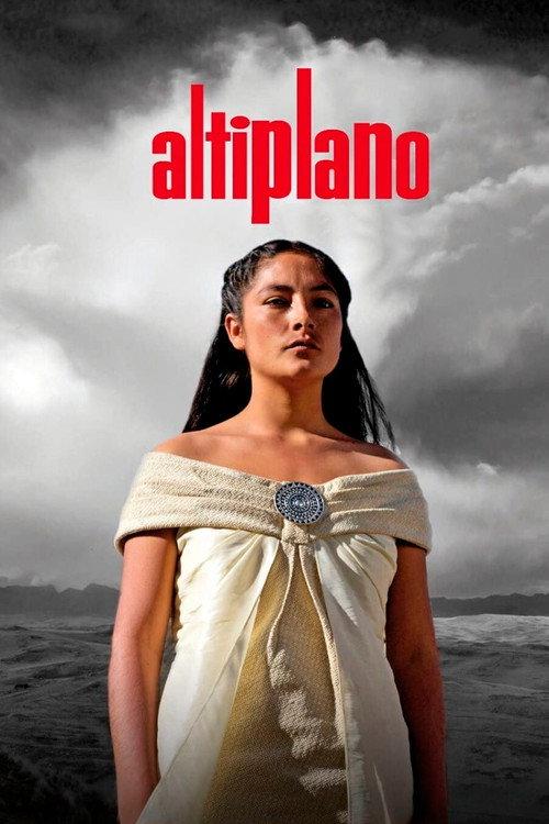 Altiplano backdrop