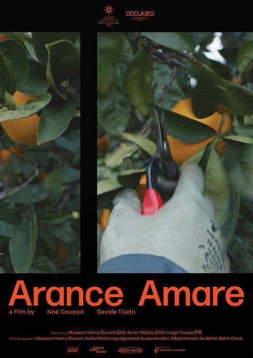 Bitter oranges backdrop