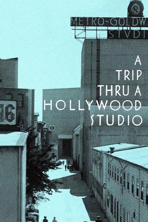 A Trip Thru a Hollywood Studio backdrop