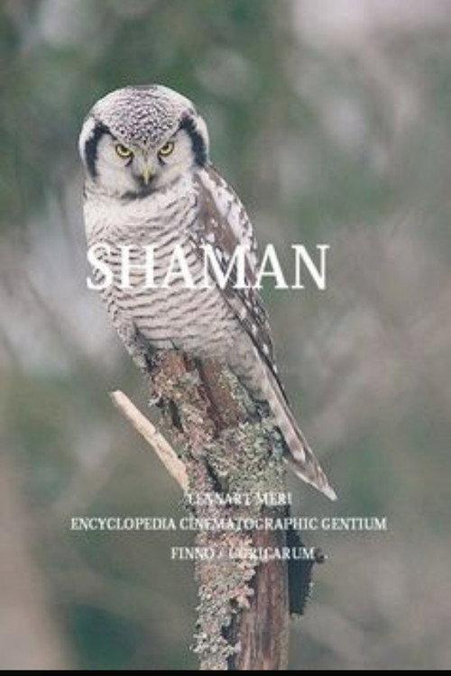 The Shaman backdrop