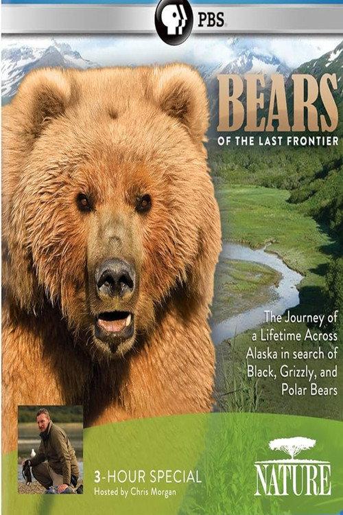 Bears of the Last Frontier backdrop