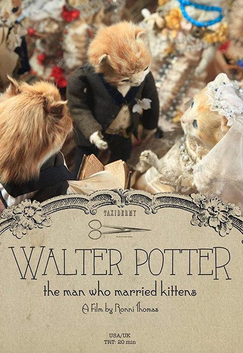 Walter Potter: The Man Who Married Kittens backdrop