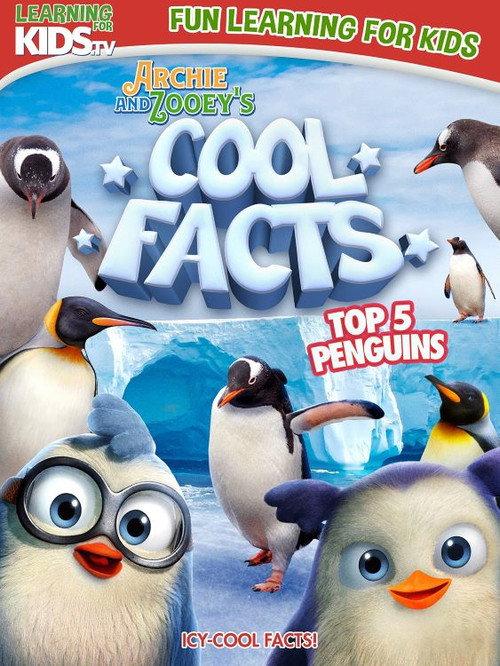 Archie And Zooey’s Cool Facts: Top 5 Penguins backdrop