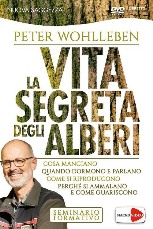 La vita segreta degli alberi backdrop