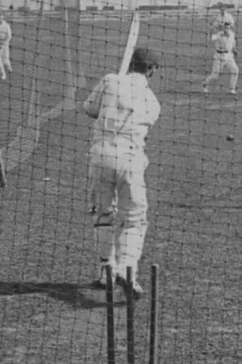 Cricket Again! backdrop