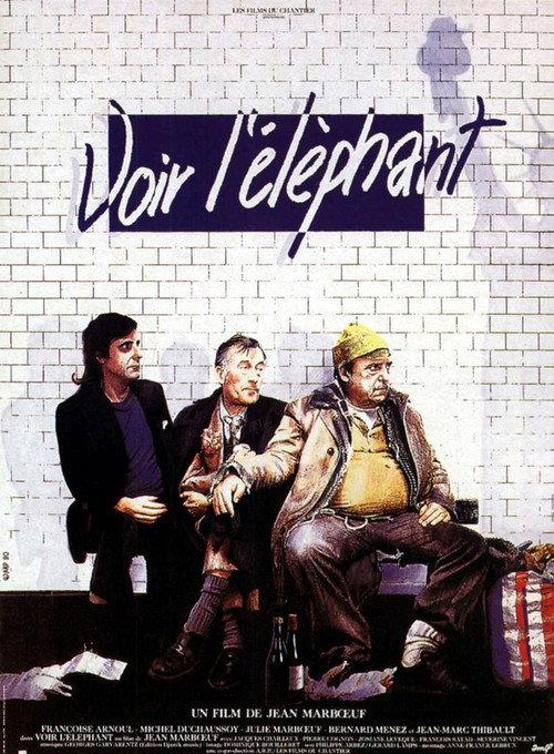 Voir l'éléphant backdrop