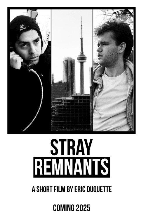 Stray Remnants backdrop