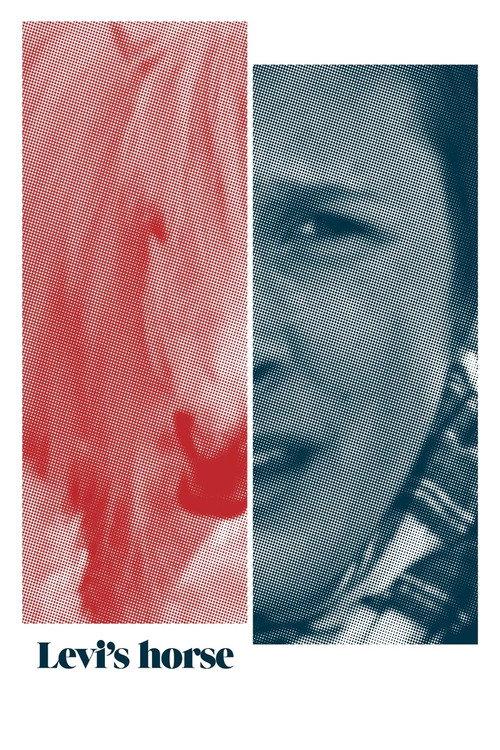 Levi's horse backdrop