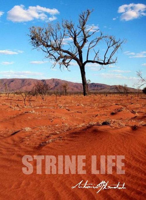 Strine Life backdrop