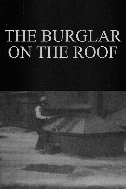 The Burglar on the Roof backdrop