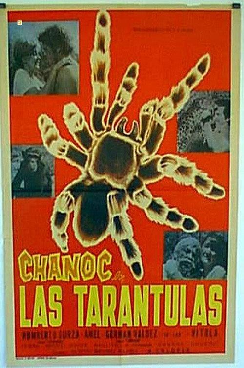 Las tarántulas backdrop