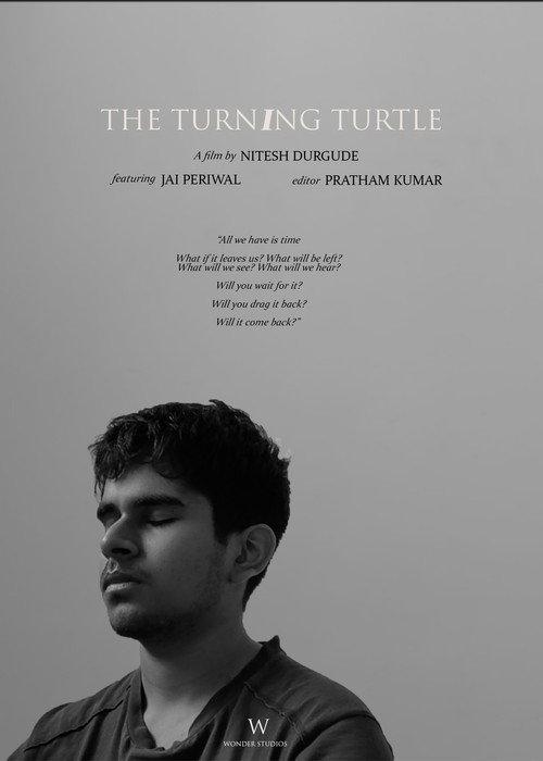 The Turning Turtle backdrop