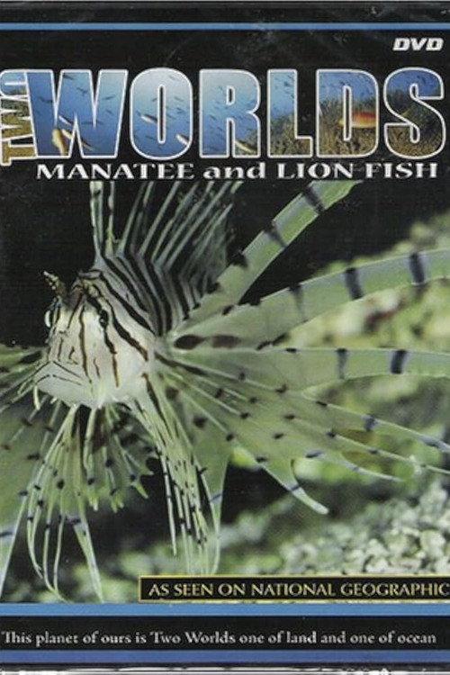 Two Worlds: Manatee and Lion Fish backdrop